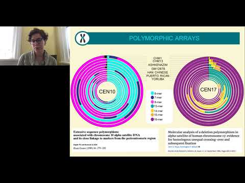 Satellite DNA: Unraveling the Mysteries of Our Genome