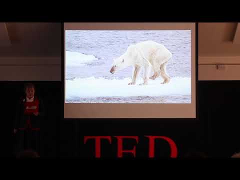 Polar Bears at Risk: The Science of Global Warming Effects