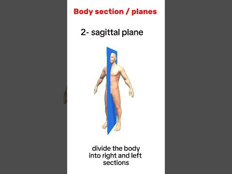 Plantar Anatomy Uncovered through Scientific Inquiry