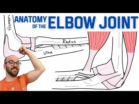 Elbow Anatomy: A Study of Its Bone Structure and Function