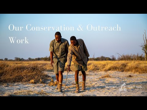 Innovative Approaches to Nature Conservation and Outreach