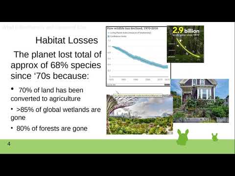 Forest Ecology and Its Role in Biodiversity Conservation