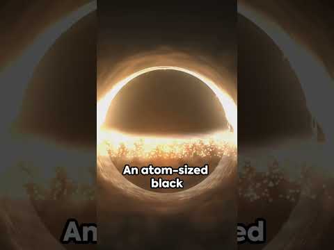 A Star's Dance with a Black Hole: A Cosmic Feast