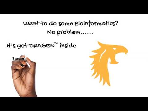 NextSeq 2000 Specifications for Modern Genomic Research