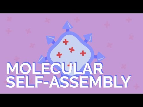 Advancements in Self-Assembly for Nanotechnology Applications