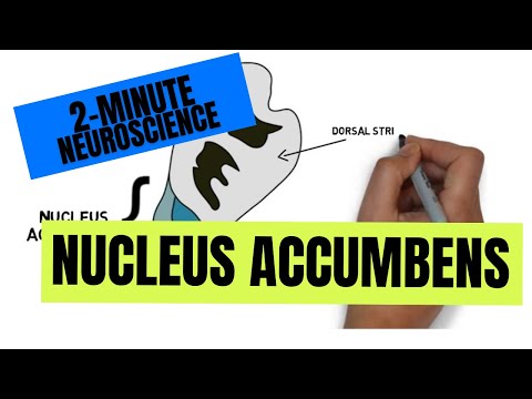 Two Minute Neuroscience Innovations for Everyone