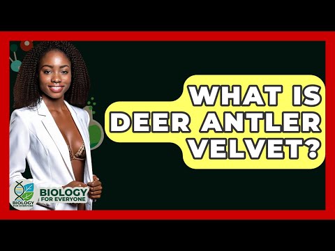 Antler Anatomy and Its Role in Deer Biology and Ecology