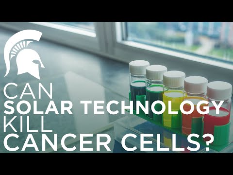 Innovations in Oncology: Leading Companies and Their Discoveries
