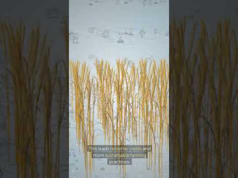 Innovations in Agriculture: The Science Behind Modern Farming