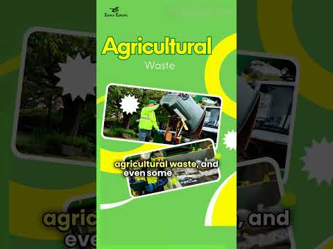 Harnessing Biofuel and Biomass for Sustainable Energy Solutions