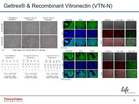 Advancements in IPSC Biology and Its Scientific Implications