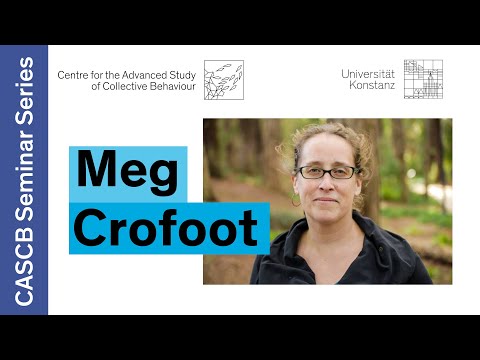 Connections Between Behavior and Ecology in Animal Societies