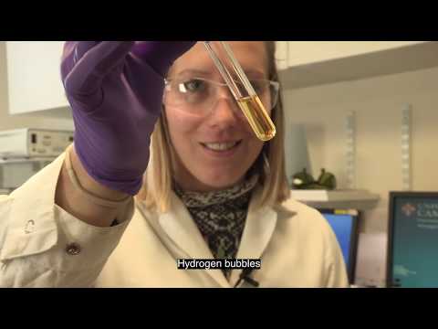 Catalyzing Interest in Chemistry Through Scientific Outreach