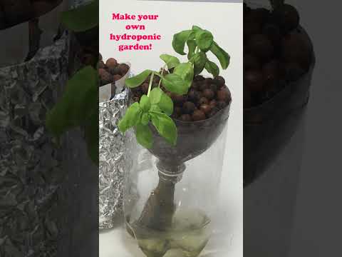 Innovations in Modern Botany and Their Scientific Outreach