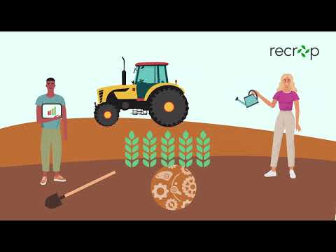 Harnessing Plant Genes for Sustainable Agriculture Solutions