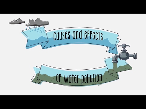 Consequences of Water Pollution on Ecosystems and Health
