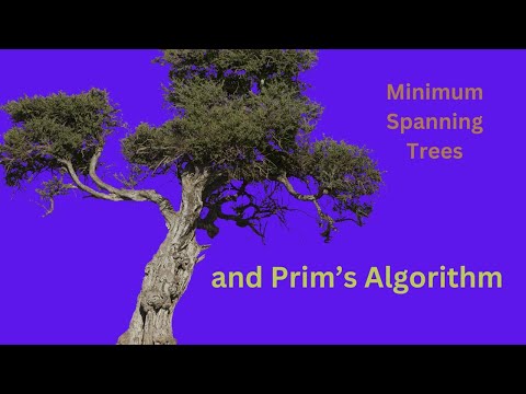 Prims Algorithm and Its Role in Network Optimization