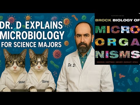 Microbial Symbiosis: Uniting Organisms for a Healthier Planet