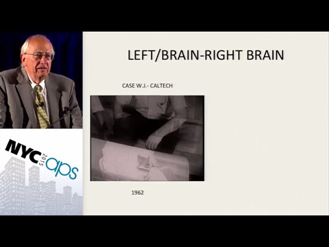 Cognitive Neuroscience Insights from Gazzaniga's Research