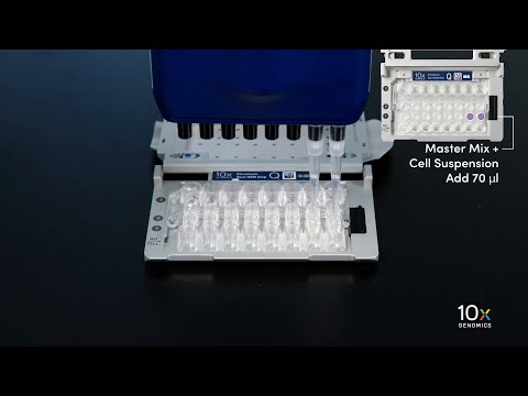 Promising Advances in 10x Chromium Research and Applications