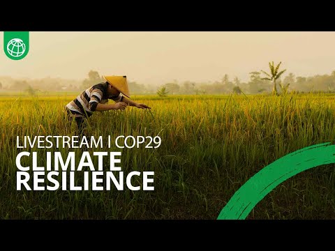 World Bank Strategies for Tackling Climate Change Challenges