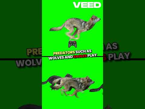 Ecosystems Uncovered: Science and Outreach in Harmony