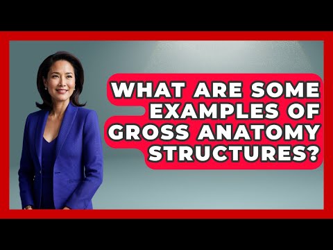 Fascinating Insights into Gross Human Anatomy for Everyone
