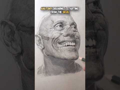 Human Head Anatomy Drawing for Scientific Insight