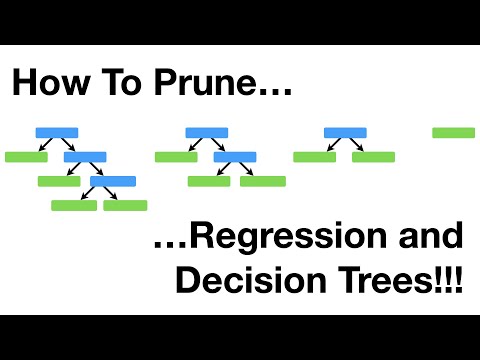 Pruning Techniques to Enhance Machine Learning Models