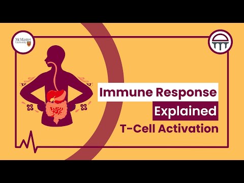 Advancements in T Cell Immunology and Their Implications