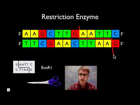 Molecular Biology and Genetics: Bridging Science and Society