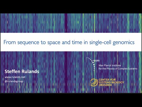 Advances in Single Cell DNA Methylation Research
