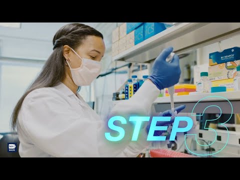 Advancements in T2T Genome Research and Its Implications