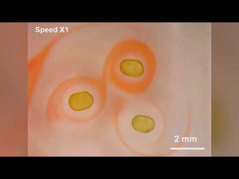 Innovations in Soft Magnet Technology for Scientific Applications