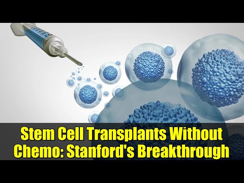 Advancements in Stem Cell Research at Stanford Institute