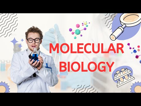 Molecular Biology's Role in Environmental Conservation Efforts