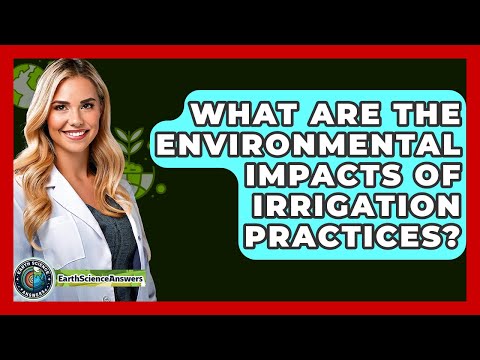 Scientific Insights on Environmental Challenges and Solutions