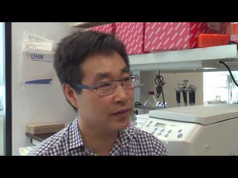 Nbn Gene Role in Cancer and Genetic Research Advances