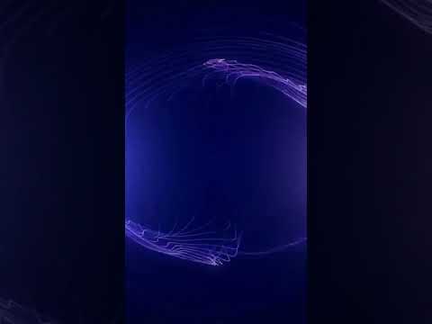 Unraveling the Mysteries of Quantum Enigma in Science