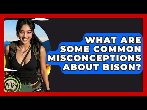 Bison Behavior: Insights from Scientific Research and Observation
