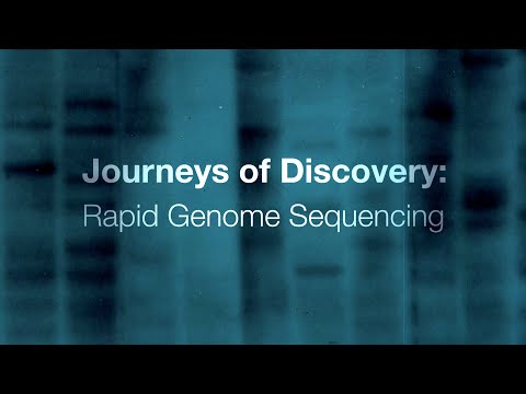 Genetic Journeys: Insights from Drosophila Research
