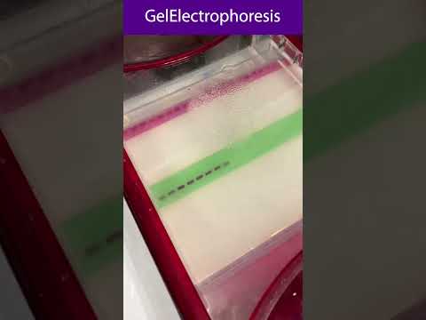 Biochemistry Footprints in Science and Outreach Efforts