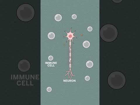 Advancements in Cellular and Infection Microbiology Research