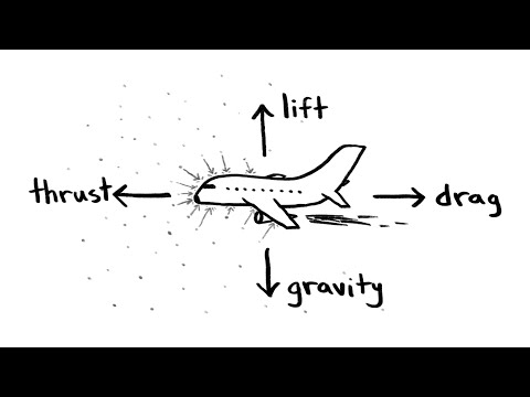 Physics in Flight: Engaging Minds at the Physics Aviary