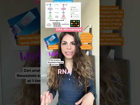 Gene Microarrays and Their Role in Modern Biology Research