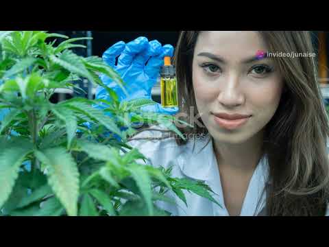 Innovations for Sustainable Energy and Environmental Health