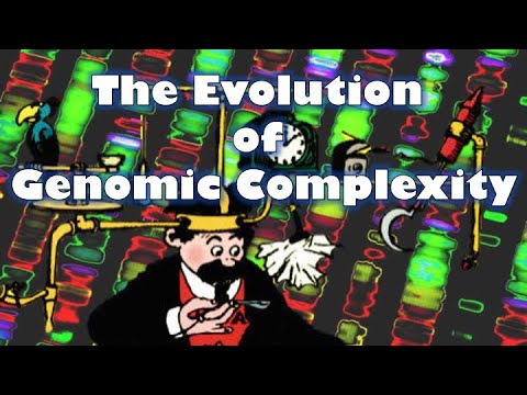 Eukaryotic Genomes: Complexity and Evolutionary Significance