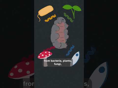 Comprehensive List of Key Genes in Modern Research