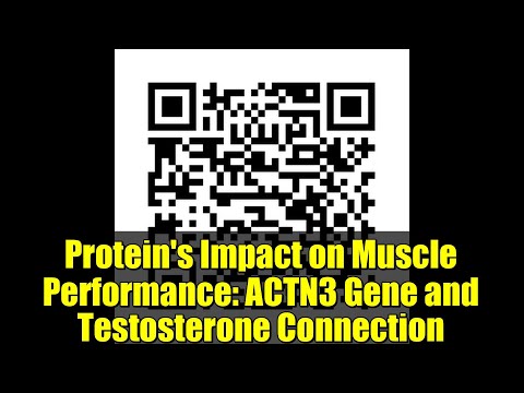 Global Variations in the ACTN3 Gene and Athletic Performance