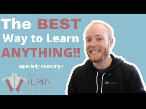 Flash Cards for Mastering Human Anatomy and Physiology